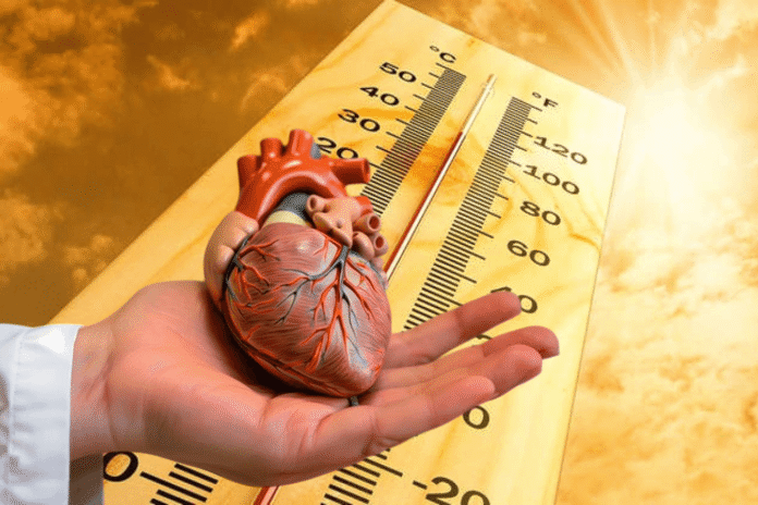 Μάθετε πώς επηρεάζει η ζέστη την καρδιά και ποια προληπτικά μέτρα προστατεύουν τους καρδιοπαθείς κατά τη διάρκεια του καλοκαιριού.