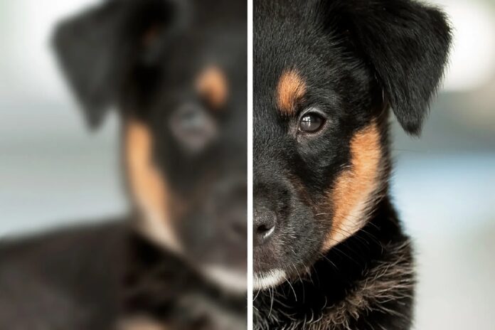 Τι είναι η πρεσβυωπία, ποια συμπτώματα εμφανίζονται μετά τα 40 και ποιες σύγχρονες λύσεις διόρθωσης υπάρχουν.