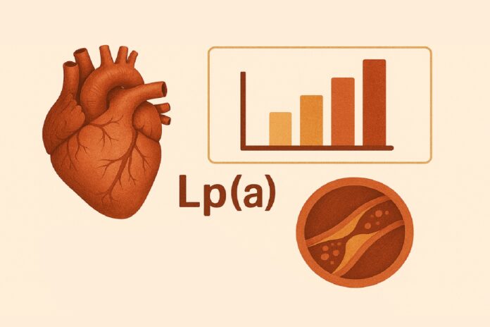 Τι είναι η Lp(a) και γιατί αυξάνει τον καρδιαγγειακό κίνδυνο. Πότε πρέπει να τη μετρήσετε και τι να κάνετε αν είναι αυξημένη.