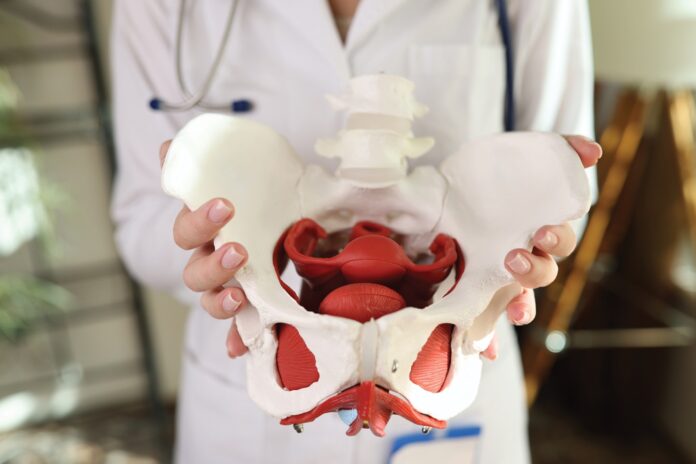 Τι είναι το πυελικό έδαφος και πώς επηρεάζεται από εγκυμοσύνη, τοκετό και εμμηνόπαυση. Όσα πρέπει να γνωρίζουν οι γυναίκες.