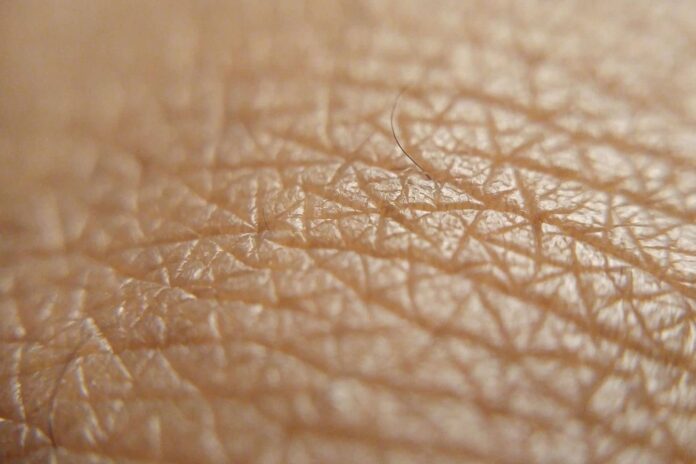 Ανακάλυψε πώς skinboosters, μεσοθεραπεία και βιοδιέγερση βελτιώνουν την ποιότητα του δέρματος με φυσικά αποτελέσματα.